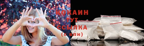прущие грибы Майский