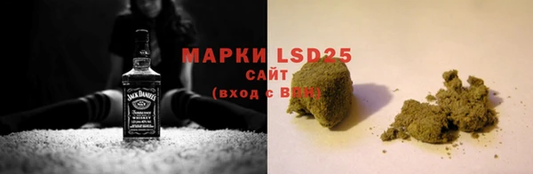 прущие грибы Майский