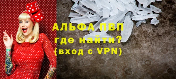 прущие грибы Майский