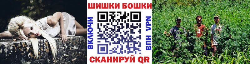 Купить закладки Пересвет Каннабис планчик